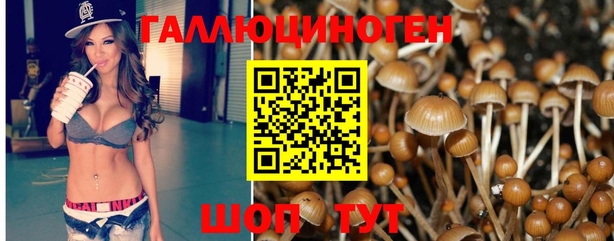 Ишим  Галлюциногенные грибы Psilocybe  Вход с VPN 